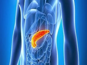 PANCREATIC SURGERY | Dr. Yogesh Bang - Gastroenterologist In Nagpur ...